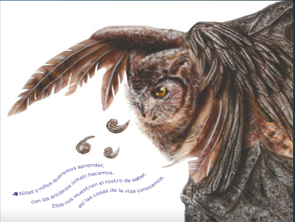 Ilustración de un búho comunicándose, con un verso sobre el ixmati.