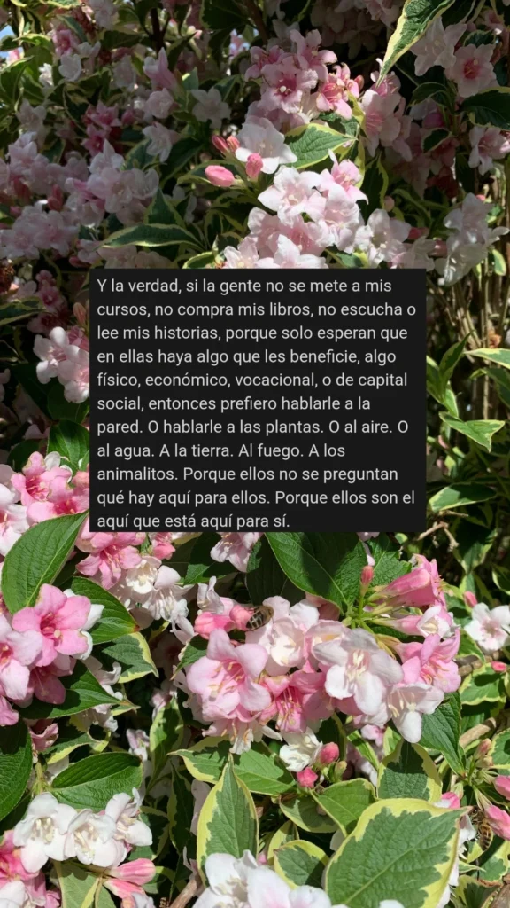 Y la verdad, si la gente no se mete a mis cursos, no compra mis libros, no escucha o lee mis historias, porque solo esperan que en ellas haya algo que les beneficie, algo físico, económico, vocacional, o de capital social, entonces prefiero hablarle a la pared. O hablarle a las plantas. O al aire. O al agua. A la tierra. Al fuego. A los animalitos. Porque ellos no se preguntan qué hay aquí para ellos. Porque ellos son el aquí que está aquí para sí.