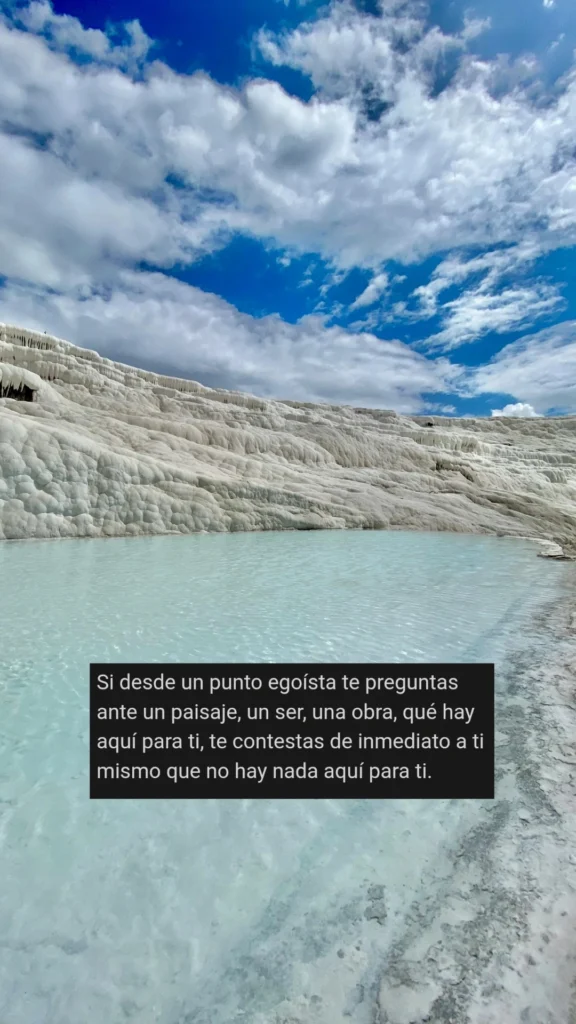 Si desde un punto egoísta te preguntas ante un paisaje, un ser, una obra, qué hay aquí para ti, te contestas de inmediato a ti mismo que no hay nada aquí para ti.