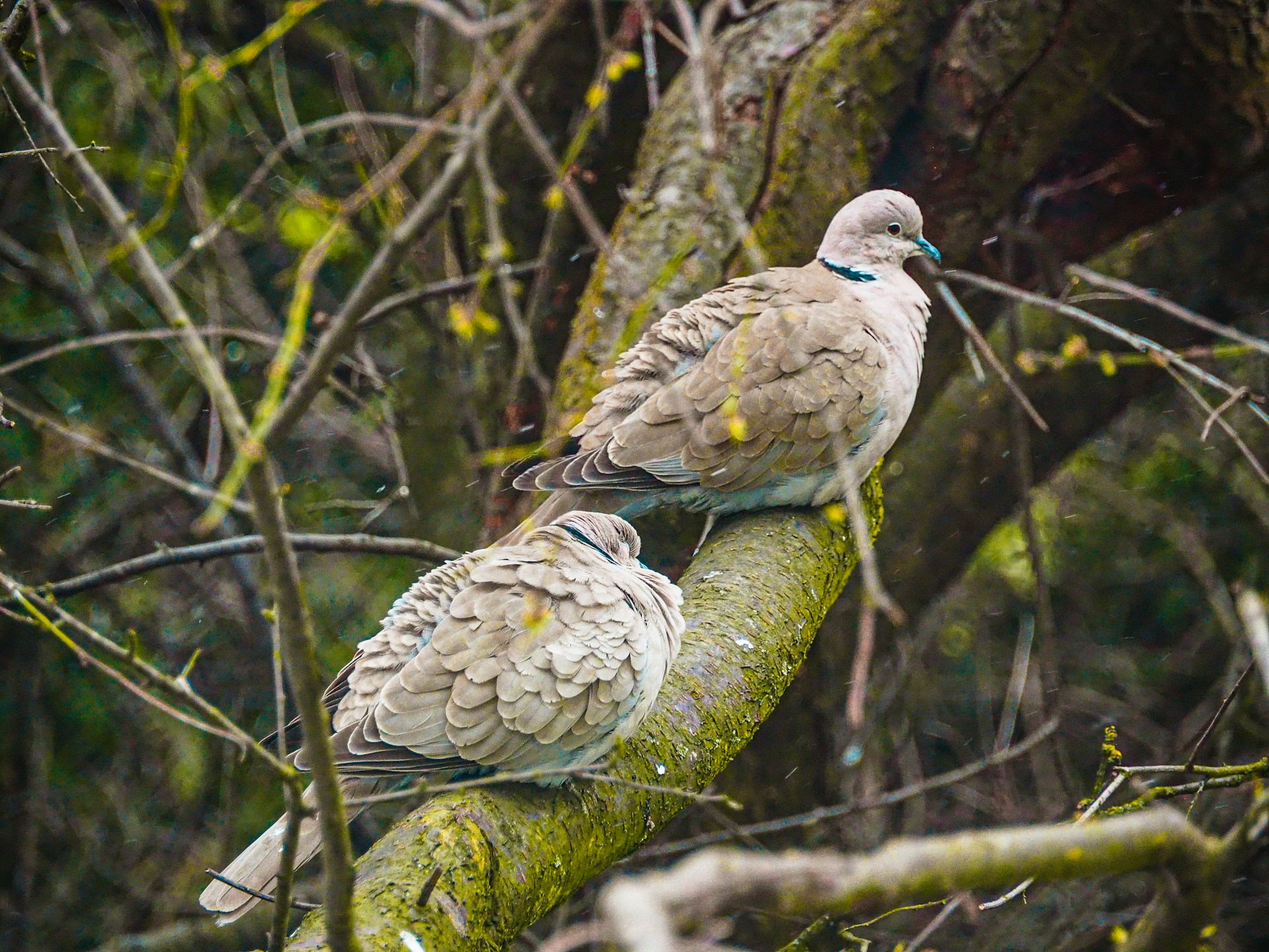 Impertenencia atemporal